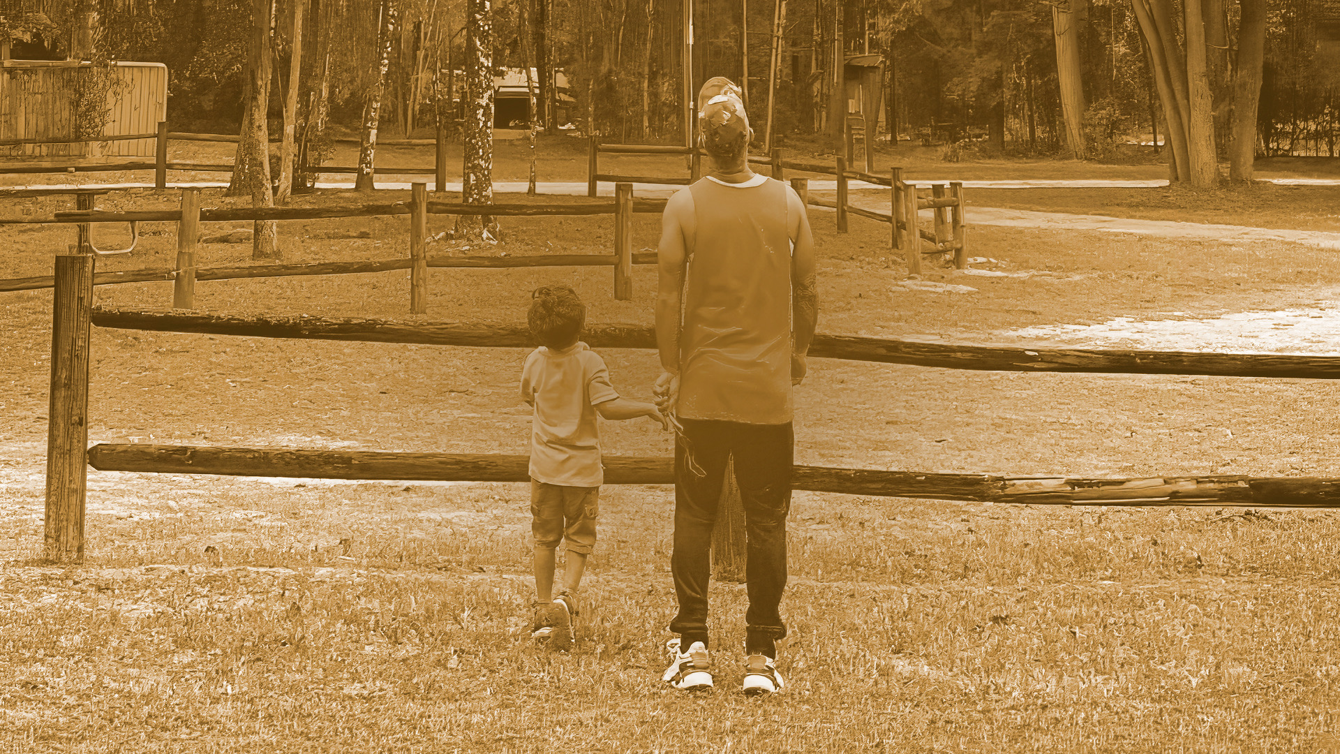 Father and son standing together from behind at a park